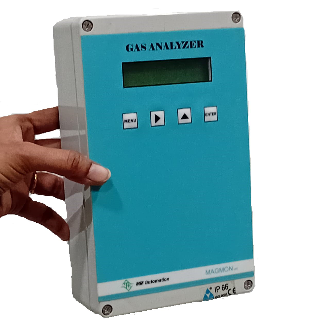 Portable Gas Detector